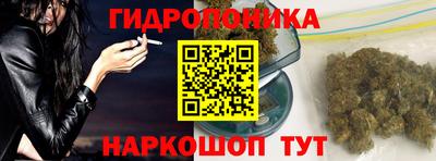 соль ск Славгород