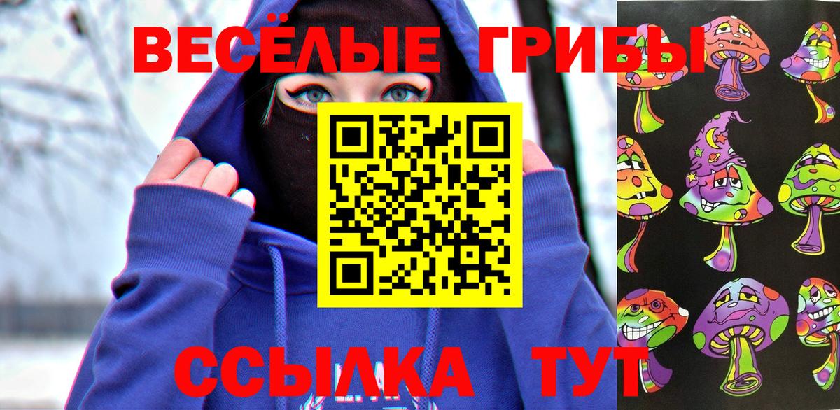 Галлюциногенные грибы Psilocybe  Вход с VPN  Норильск 