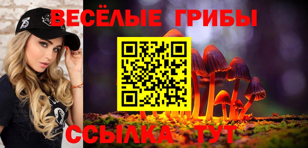 Псилоцибиновые грибы Psilocybine cubensis Норильск